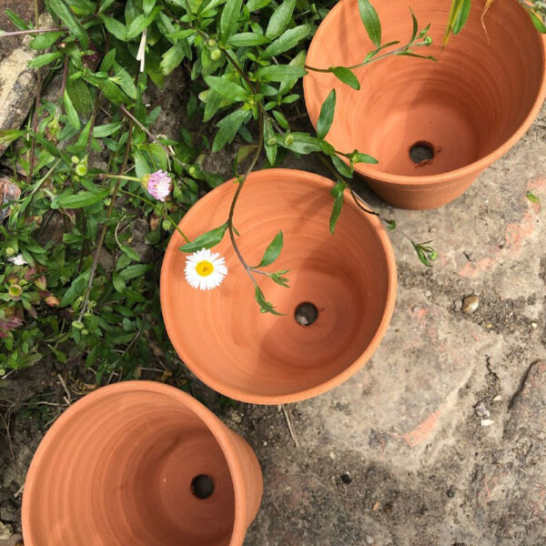 mini terracotta pots