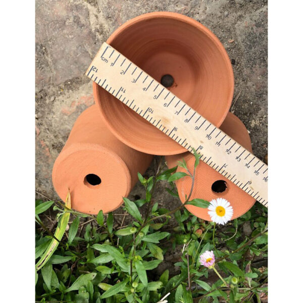 indoor plant pots terracotta