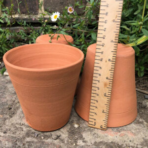 miniature seedling terracotta pots